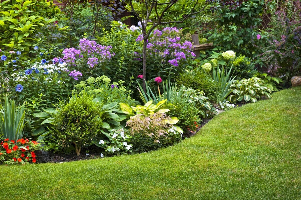 Garden Landscaping Cost Sydney 2025: Complete Transformation Guide
