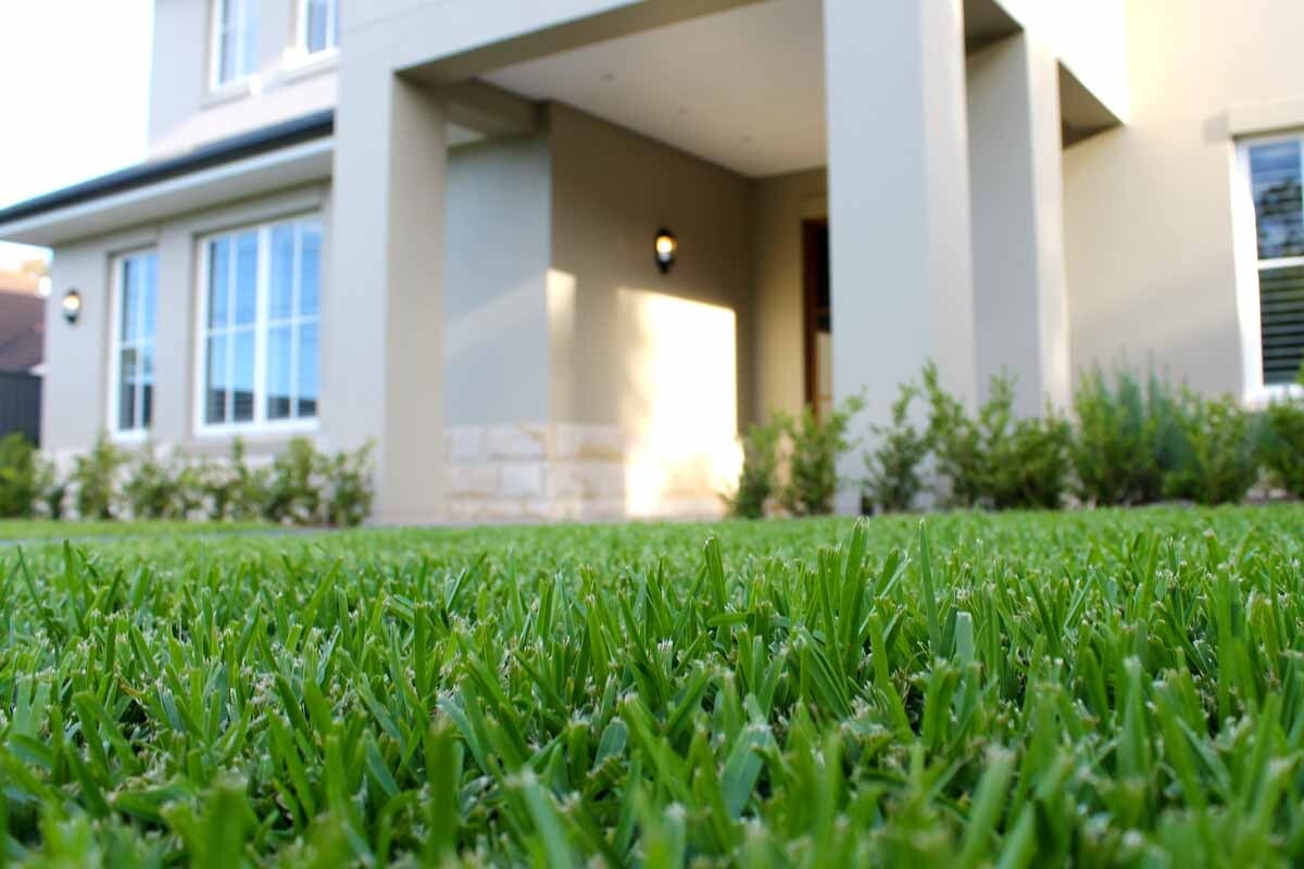 Turfing Cost Sydney 2025: Complete Lawn Installation Price Guide