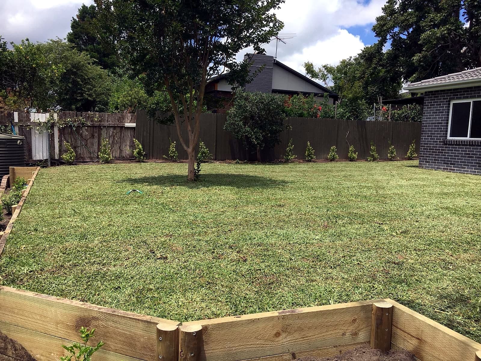 Finished backyard lawn with retaining wall and garden edge in Kellyville by Nazscapes